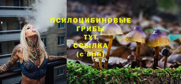 мдма Касимов