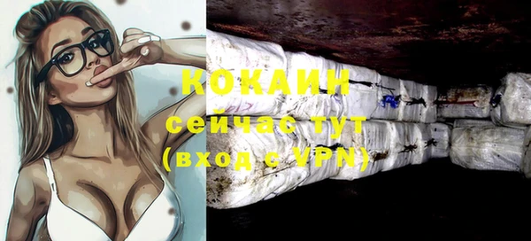 дурь Карпинск