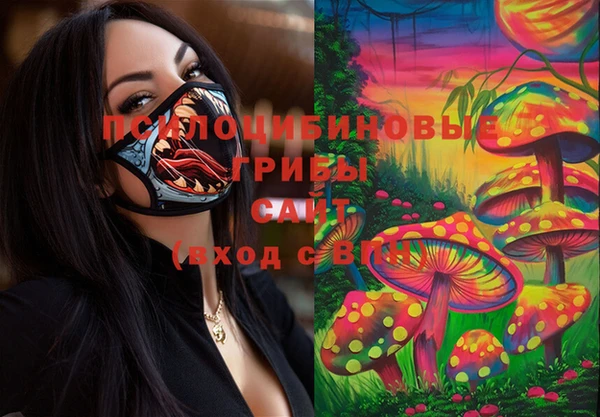 дурь Карпинск